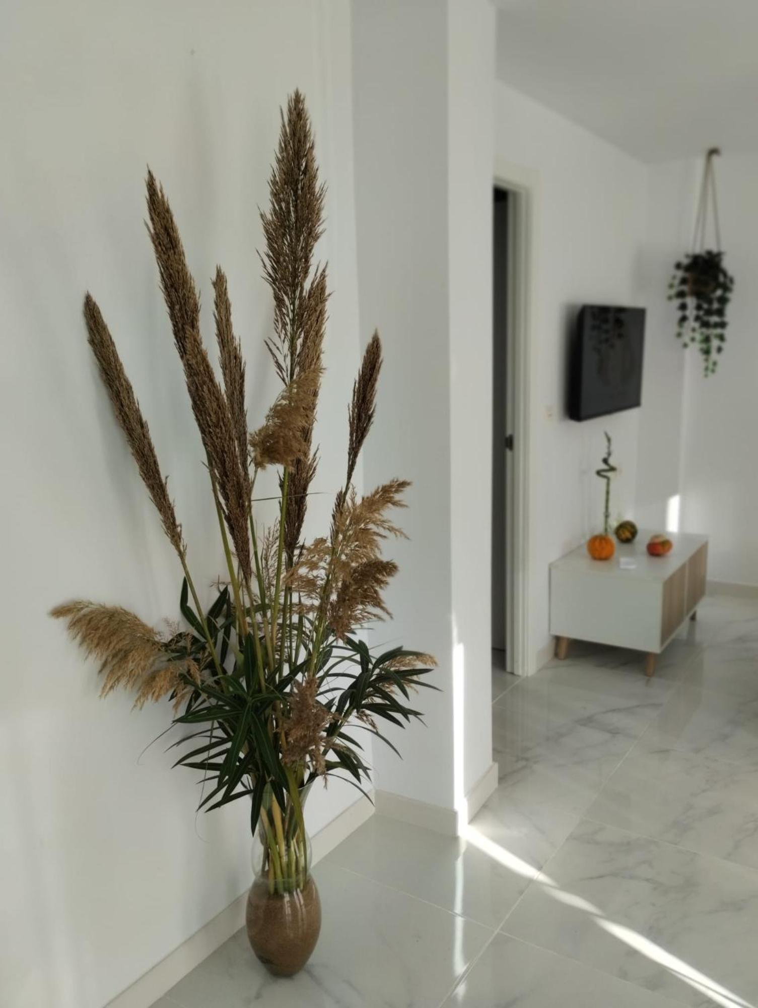 Apartamento Sun Gate Jerez de la Frontera Buitenkant foto